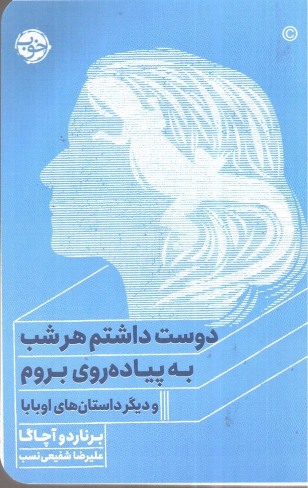 تصویر کتاب دوست داشتم هر شب به پیاده روی بروم