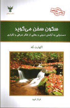 تصویر کتاب سکون سخن میگوید