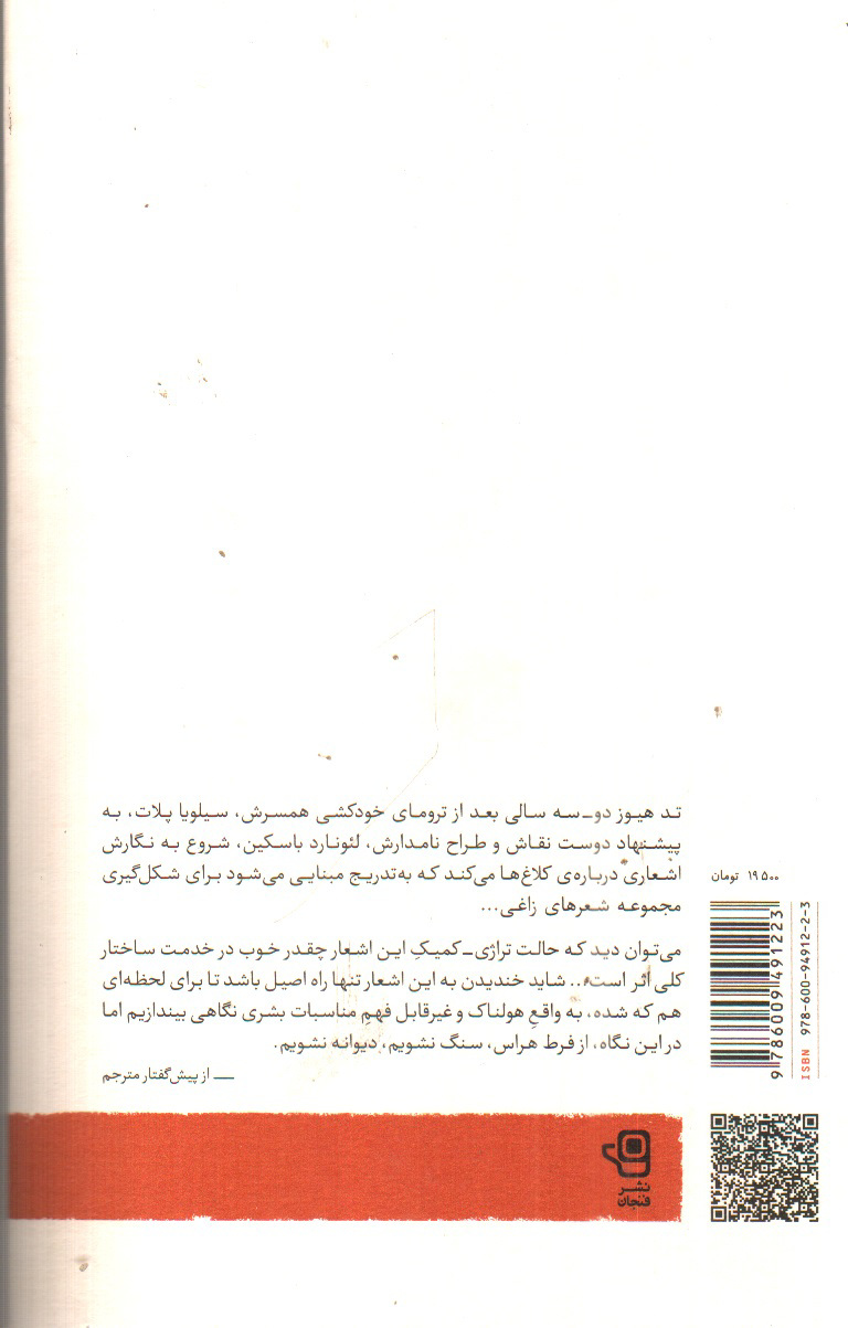 تصویر کتاب زاغی