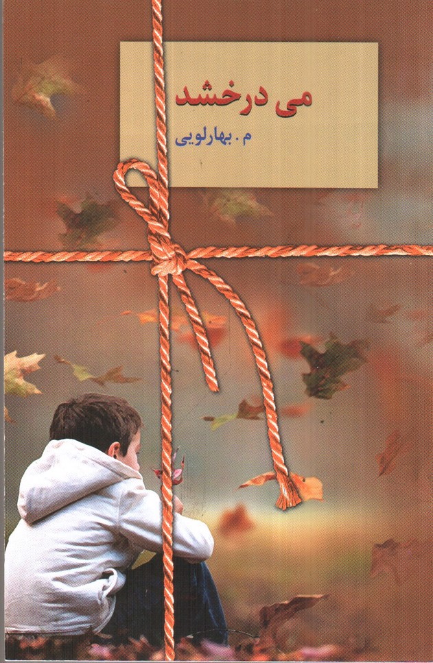 تصویر کتاب می درخشد