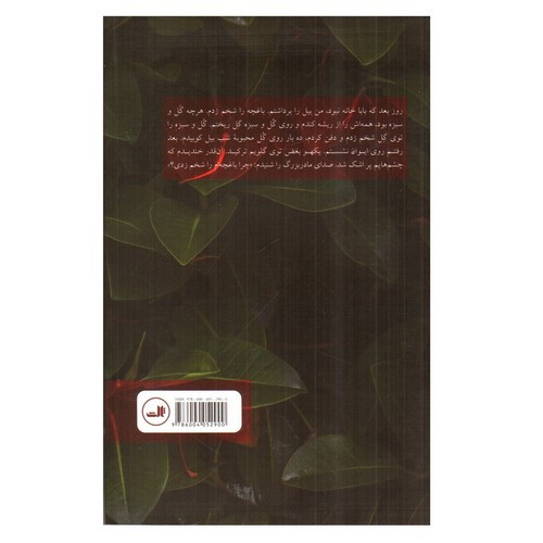 تصویر کتاب جشن تولد با گل محبوبه شب