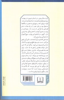 تصویر کتاب نفر بعدی که در بهشت ملاقات می کنید