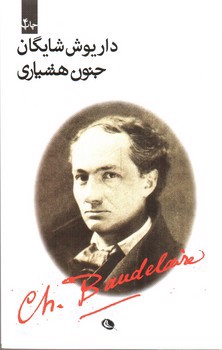 تصویر کتاب جنون هشیاری
