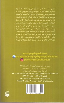 تصویر کتاب دیو کوکی و دلبر (عاشقانه های عجیب)