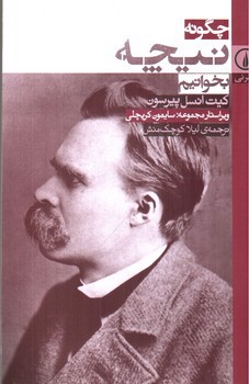 تصویر کتاب چگونه نیچه بخوانیم