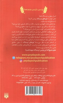 تصویر کتاب نورهای ترسناک (علوم ترسناک)