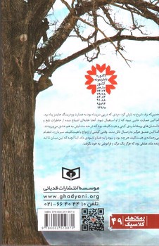 تصویر کتاب بلندی های بادگیر