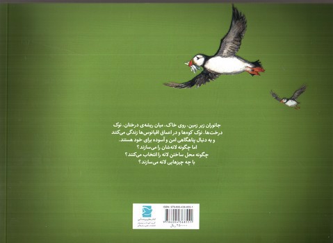 تصویر کتاب همه در امان اند (علوم برای کودکان) (کتاب های پرنده آبی)