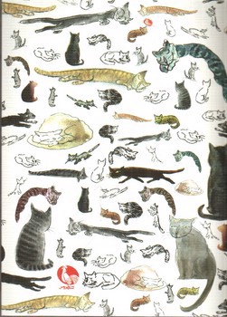 تصویر کتاب کتابچه هنری بدون هیچ دلیلی 