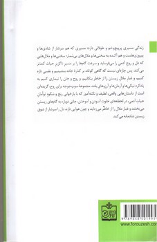 تصویر کتاب سوپ جوجه برای روح معلم