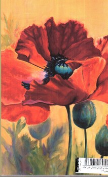 تصویر کتاب شعله ی فروزان (داستان های کوتاه جهان 17)