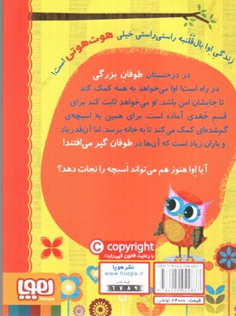 تصویر کتاب دفترچه خاطرات جغد 8 (اوا و اسبچه ی گم شده)