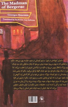تصویر کتاب دیوانه ای در شهر