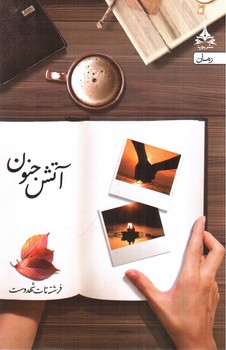 تصویر کتاب آتش جنون