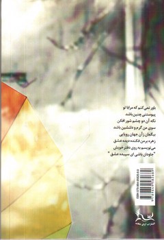 تصویر کتاب باور آفتاب
