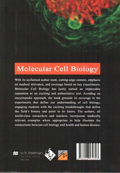 تصویر کتاب چکیده زیست شناسی سلولی و مولکولی لودیش (2016)