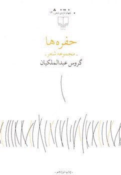 تصویر کتاب حفره ها