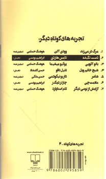 تصویر کتاب دست تکیده (تجربه های کوتاه 2)