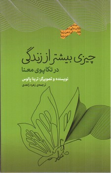 تصویر کتاب چیزی بیشتر از زندگی (در تکاپوی معنا)