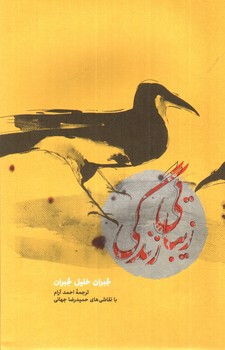 تصویر کتاب زیبایی زندگی 