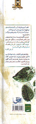 تصویر کتاب هر قاصدکی یک پیامبر است