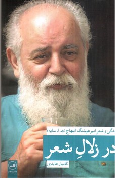 تصویر کتاب در زلال شعر