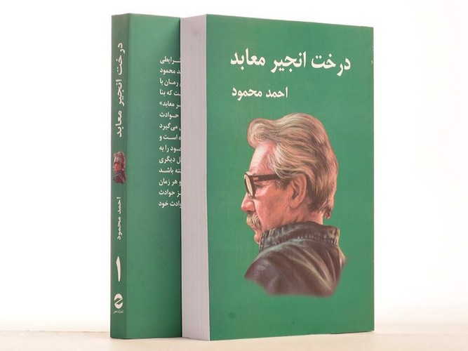 تصویر کتاب درخت انجیر معابد (دو جلدی)