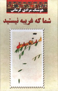 تصویر کتاب شما که غریبه نیستید