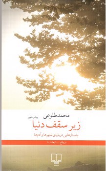 تصویر کتاب زیر سقف دنیا