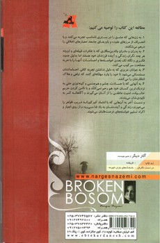 تصویر کتاب آغوش در هم شکسته