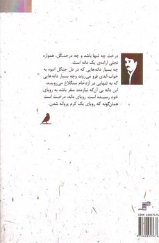 تصویر کتاب تن های تنها