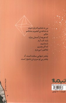 تصویر کتاب خاکستر و بانو (پازل شعر امروز 56)