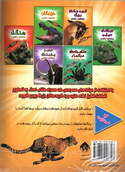 تصویر کتاب هیجان انگیز سه بعدی (گربه سانان بزرگ) (همراه عینک سه بعدی)