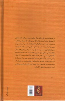 تصویر کتاب سایه روشن های شمس تبریزی (مقدمه ای بر شمس شناسی)