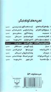 تصویر کتاب چیزهای پیش پا افتاده (تجربه های کوتاه 53)