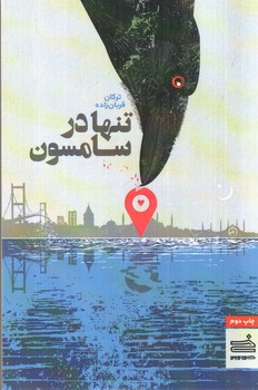 تصویر کتاب تنها در سامسون