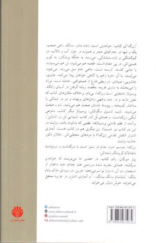 تصویر کتاب نایب کنسول