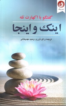 تصویر کتاب اینک و اینجا (گفتگو با اکهارت توله)