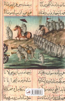 تصویر کتاب موش و گربه (پیشینه،‌دگردیسی، روایت ها)