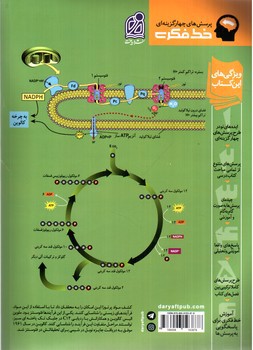تصویر کتاب دریافت زیست شناسی دوازدهم (خط فکری)