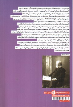 تصویر کتاب مرغابی وحشی