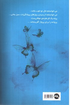 تصویر کتاب بدون بال پرواز کن