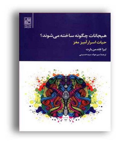 تصویر کتاب هیجانات چگونه ساخته می شوند