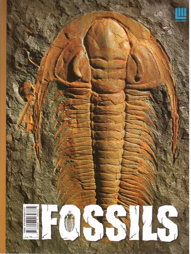 تصویر کتاب دانشنامه مصور سنگواره ها