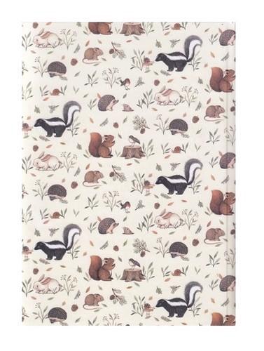 تصویر دفتر برنامه ریزی طرح خرگوش و سنجاب