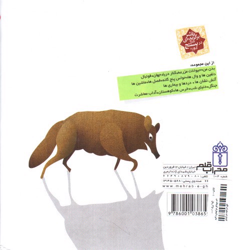 تصویر کتاب دایره المعارف کوچک من 19 درباره ی گرگ ها