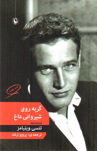 تصویر کتاب گربه روی شیروانی داغ