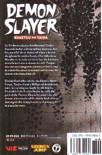 تصویر کتاب Demon Slayer 2 (شیطان کش) (مانگا)