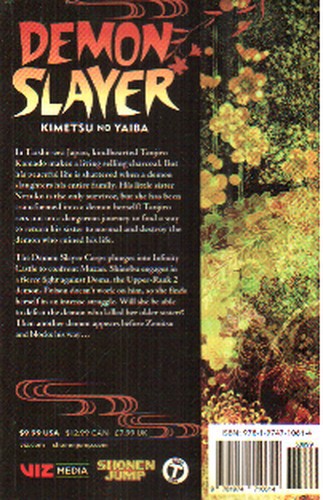 تصویر کتاب Demon Slayer 17 (شیطان کش) (مانگا)