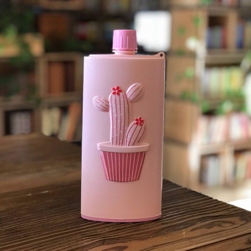 تصویر قمقمه کاکتوس صورتی